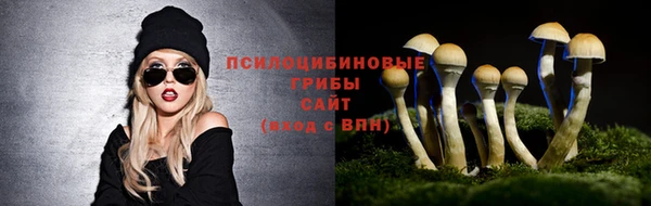 мет Абаза