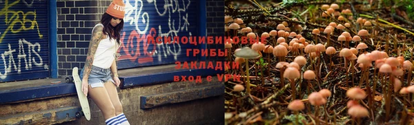 метадон Абдулино